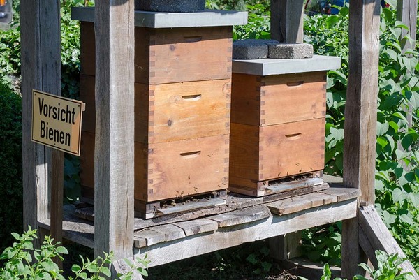 Bienenkästen unter einem Holzunterstand im Grünen