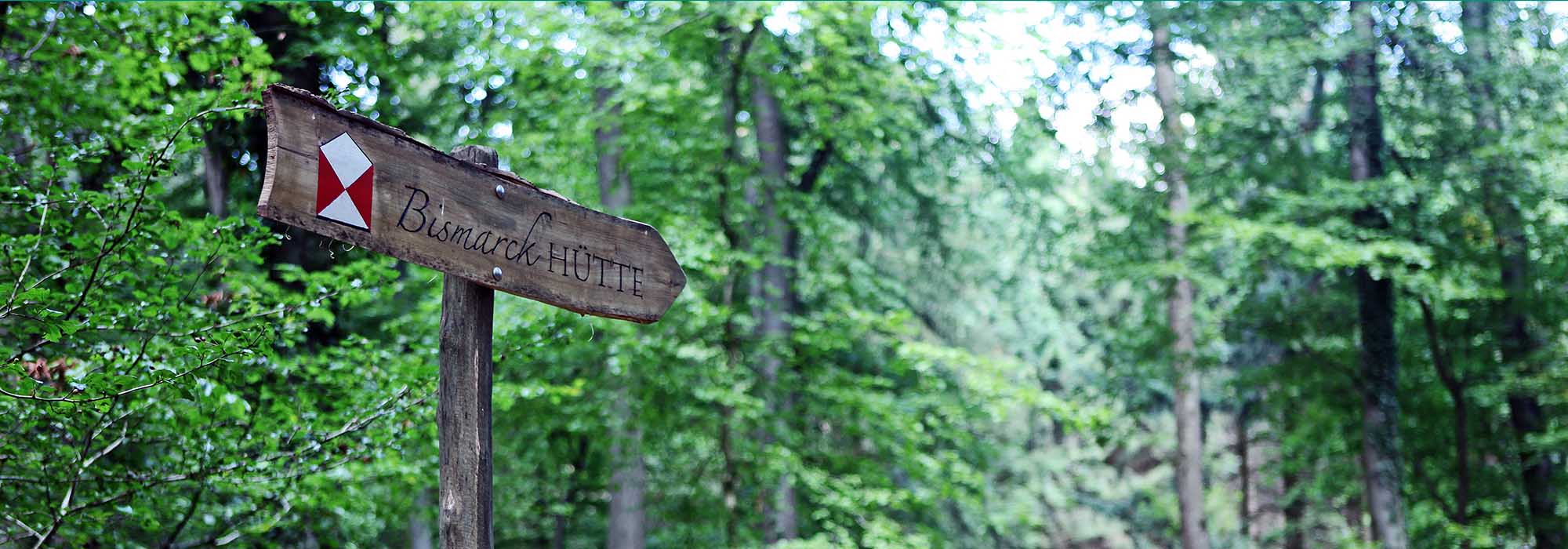 Waldweg mit Schild, welches zu der Bismarck Hütte führt