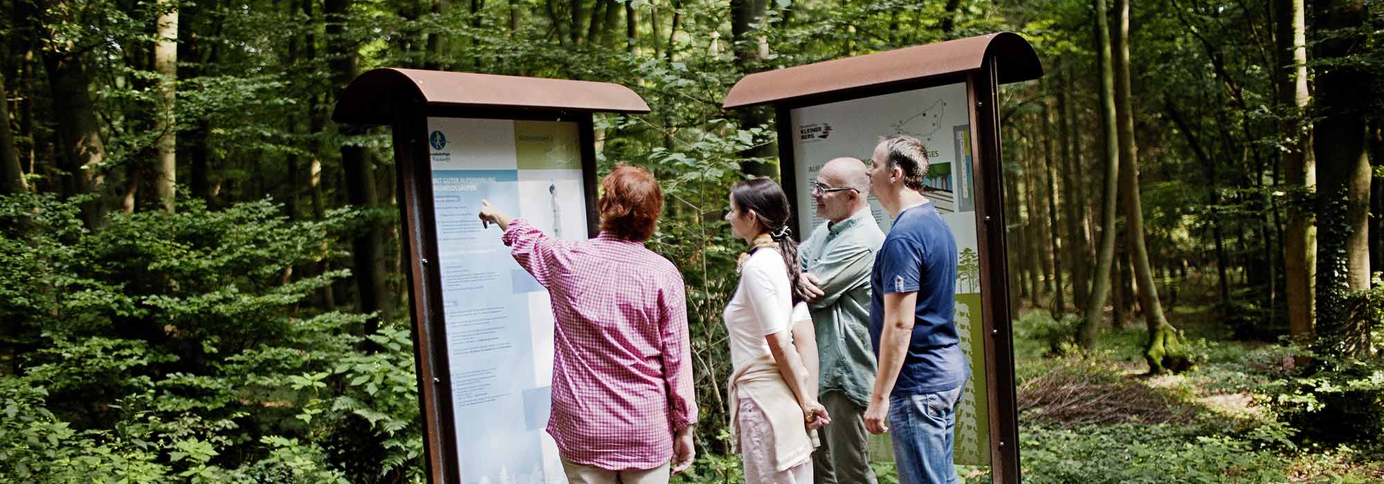 Zwei Frauen und zwei Männer stehen vor einer Informationstafel im Wald und schauen sich etwas an