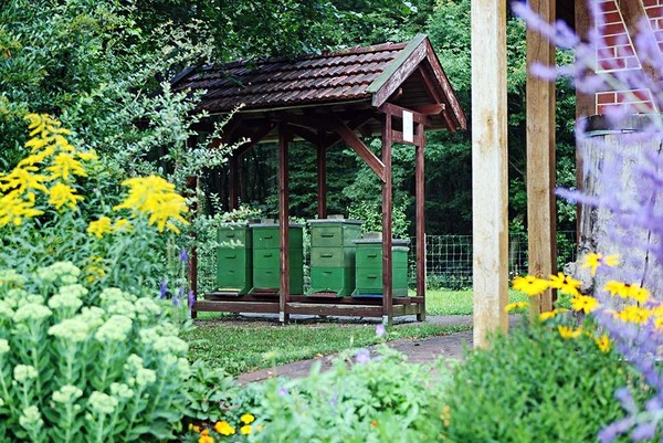 Garten mit verschiedenen Blumen und einem Lehrbienenstand