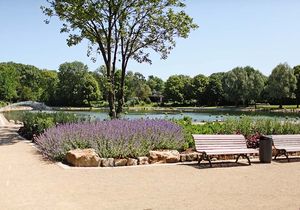 Kurpark mit Bänken, Grünflächen und Gewässer bei blauem Himmel