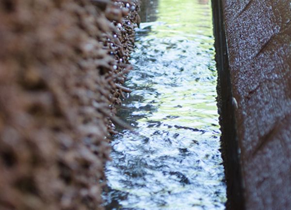 Nahaufnahme der Wasserrinne eines Gradierwerkes am Tag