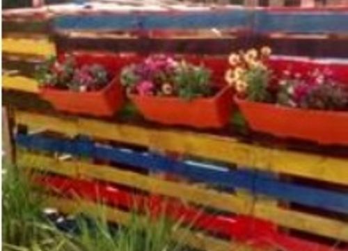 Bunte Paletten mit einer Vielfalt an Blumen