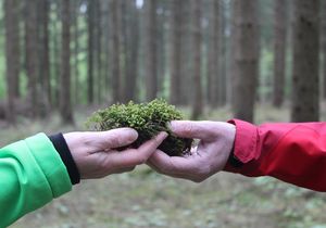 Zwei Hände im Wald, der herbstlich wirkt, übergeben sich ein Stück Moos.