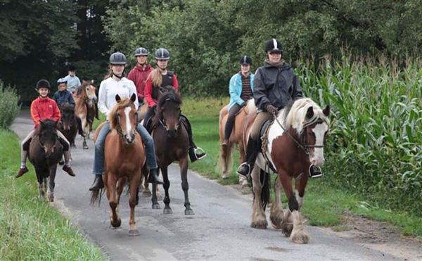 Ponyhof-Pension Hartmann