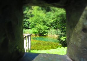 Der Weg zum Gewässer führt durch einen kleinen Tunnel