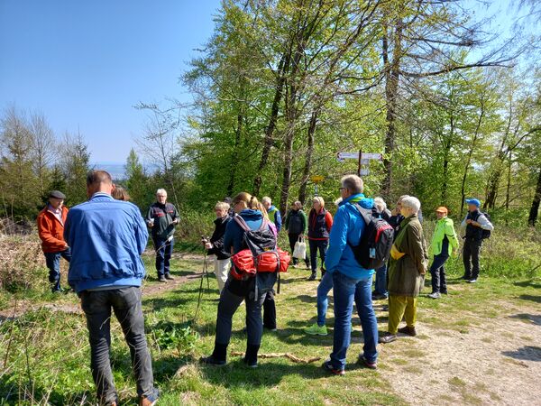 Eine Gruppe von Menschen steht im Wald