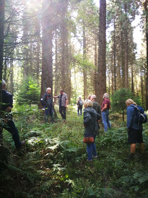 Menschen im Wald