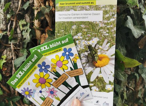 Samentütchen und Flyer in der Natur