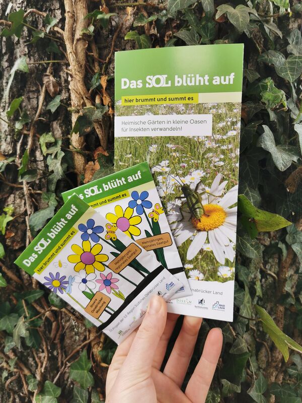 Samentütchen und Flyer in der Natur