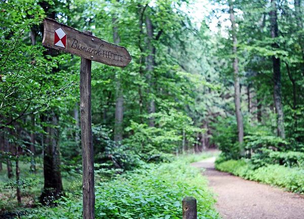 Waldweg mit Schild, welches zu der Bismarck Hütte führt