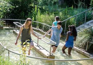 Vier Frauen beim Wassertreten im Grünen