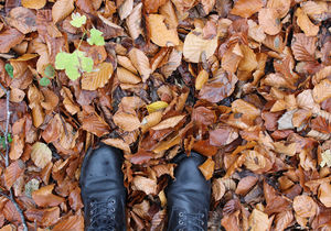 Detailaufnahme von schwarzen Schnürstiefel inmitten von buntem Herbstlaub.