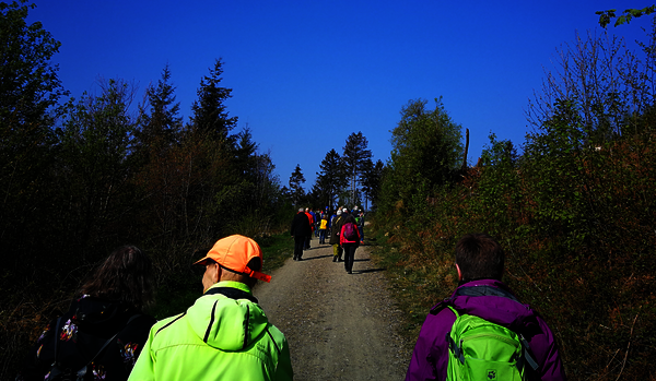 Mehrere Personen wandern durch den Wald.
