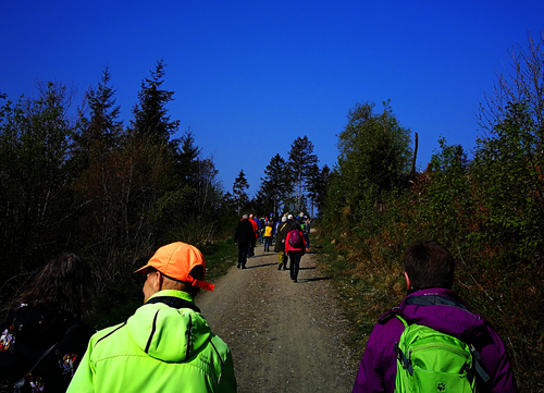 Mehrere Personen wandern durch den Wald.