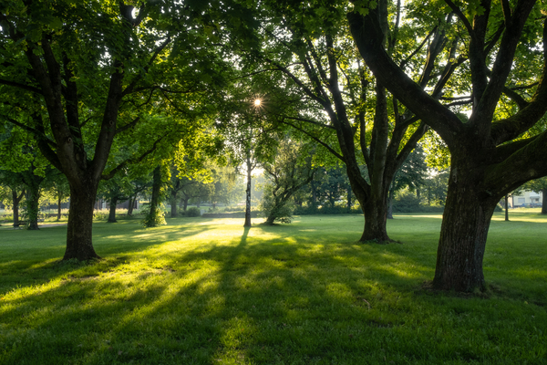 Blick in den Kurpark