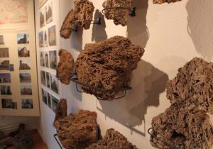 Ausstellungsstücke An der Wand hängen verschiedene Ausstellungsstücke