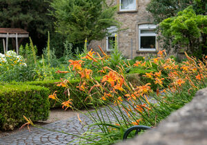 Blumenmeer im Garten des Heimatmuseums