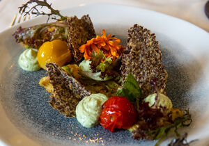 Vegetarische Hauptspeise im Bio-restaurant goldwerth, Hotel Melter