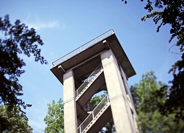 Aussichtsturm im Grünen unter blauem Himmel