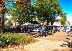 Marktbesucher bei sommerlichem Wetter