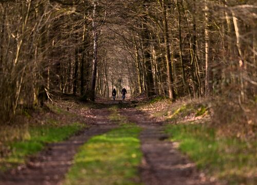 2 Personen gehen einen Wanderweg