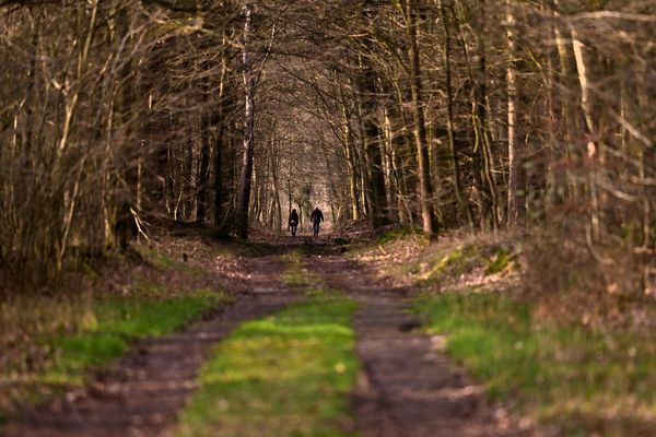 2 Personen gehen einen Wanderweg