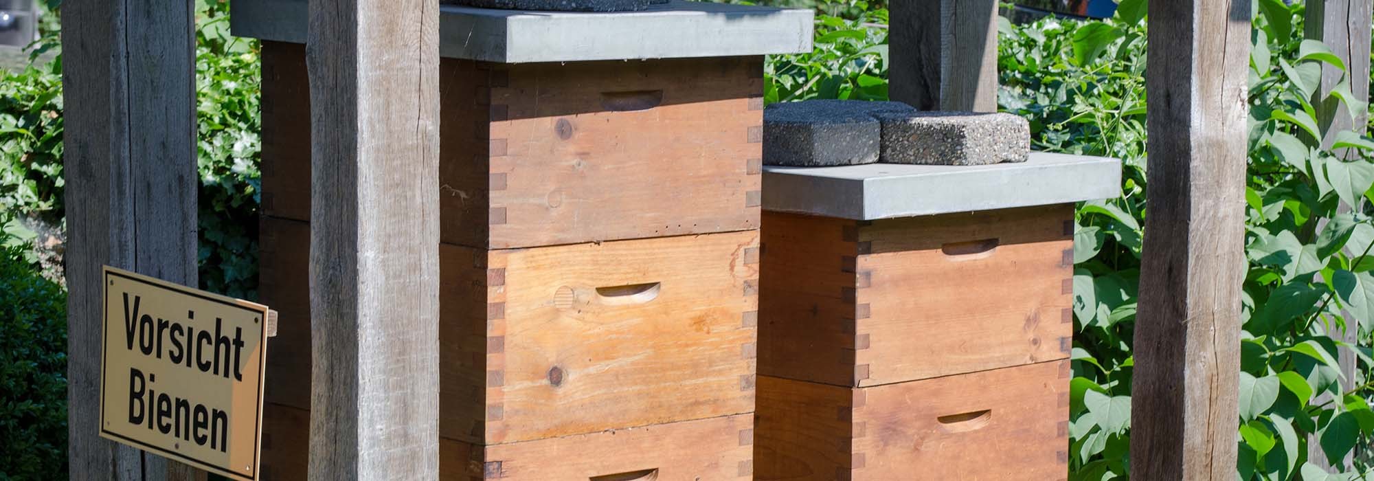 Bienenkästen unter einem Holzunterstand im Grünen