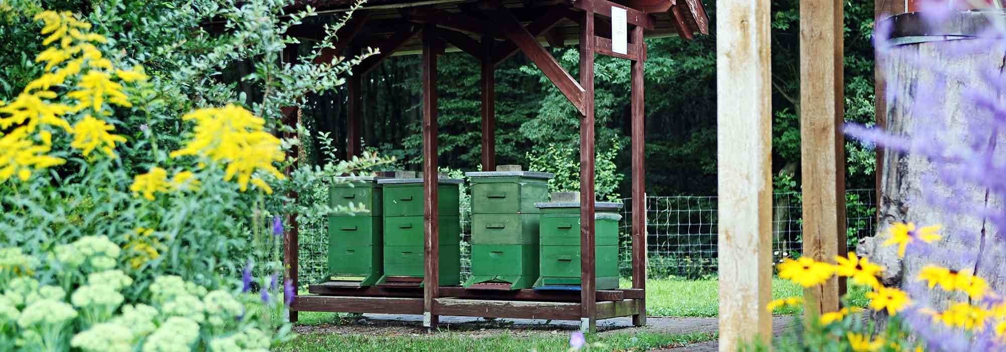 Garten mit verschiedenen Blumen und einem Lehrbienenstand