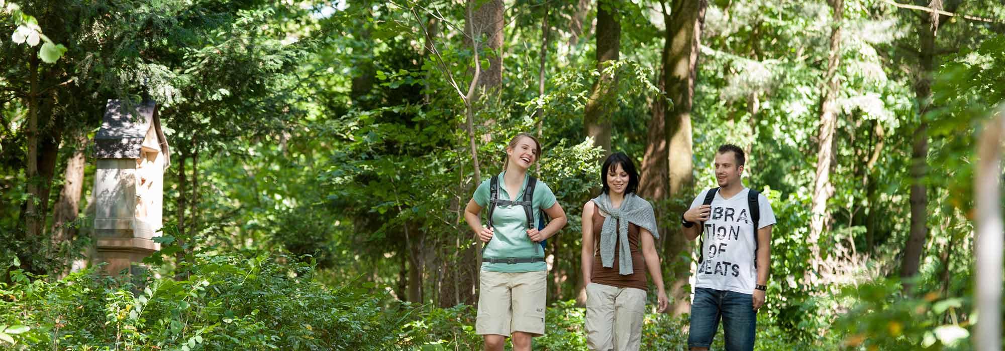 Zwei Frauen und ein Mann nutzen einen Wanderweg im Grünen