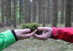 Zwei Hände im Wald, der herbstlich wirkt, übergeben sich ein Stück Moos.