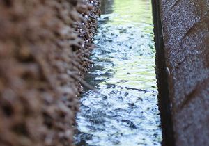 Nahaufnahme der Wasserrinne eines Gradierwerkes am Tag