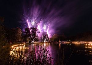 Feuerwerk in der Dunkelheit